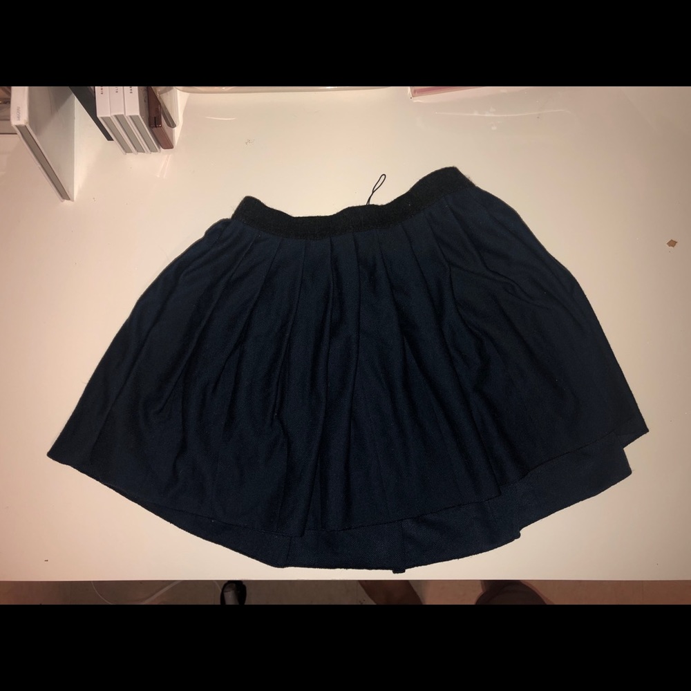 Zara pleated skirt